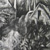 Large Charcoal Drawing