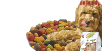 Dog Food Ad done in Adobe Flash